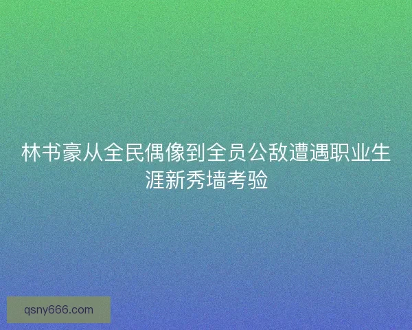 林书豪从全民偶像到全员公敌遭遇职业生涯新秀墙考验